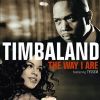 The way I are_Timbaland