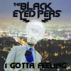 I Gotta Feeling_Black Eyed Peas