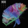 Madness_Muse