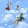Il faudrait que pleuve l'amour_Pascal Obispo feat.Francis Cabrel
