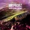 Waves (Robin Schulz Remix)_Mr Probz