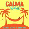 Calma (Remix)_Pedro Capo & Farruko