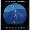 This is what you came for_Calvin Harris feat. Rihanna
