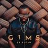 Jusqu'ici tout va bien_Maître Gims