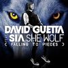 She Wolf (Falling to Pieces)_David Guetta [feat. Sia]