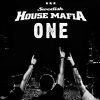 One_Sweedish house mafia
