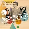 Prayer in C_Lilly Wood and The Prick
