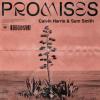 Promises_Calvin Harris & Sam Smith