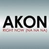 Right Now (Na Na Na)_Akon