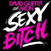 Sexy bitch (feat Akon)_David Guetta